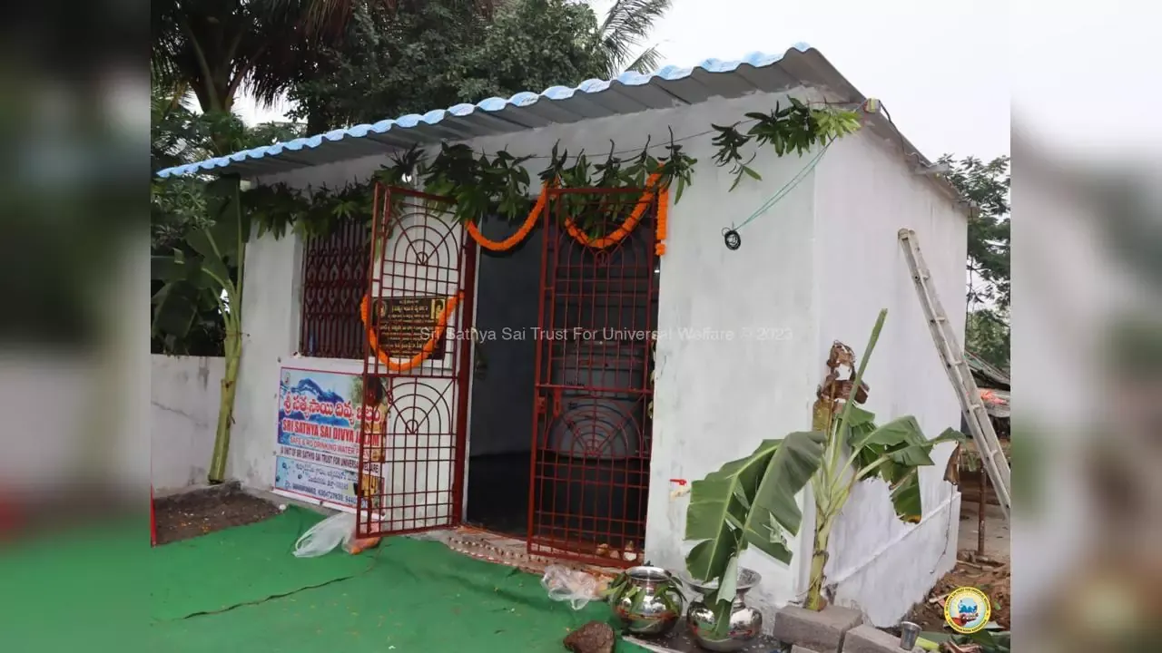 Day 5: Drinking Water Plants Inauguration