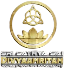Sri Sathya Sai Divyabharati logo